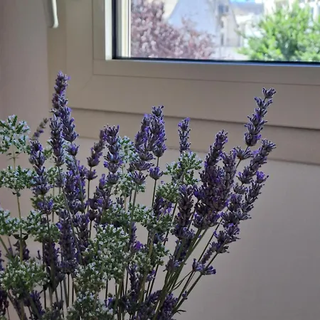 Mazzini 5 Maison d'hôtes Locorotondo