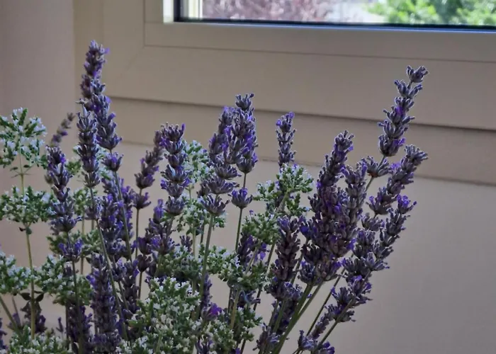 Mazzini 5 게스트하우스 로코로톤도